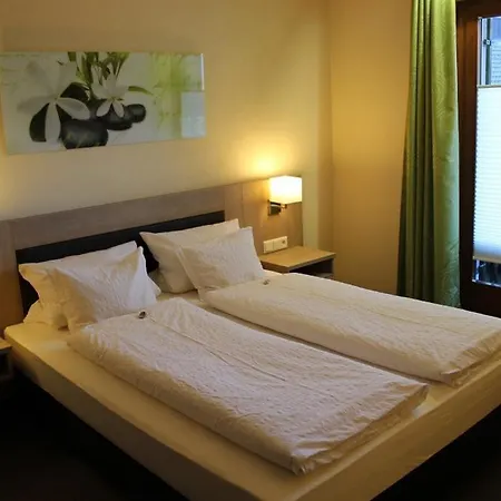 Guest house Pension Alfenz 3*