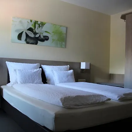 Guest house Pension Alfenz